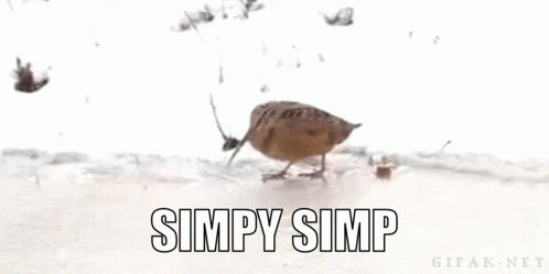 Simpy Simpy Simp GIF - Simpy Simp Simpy Simp GIFs