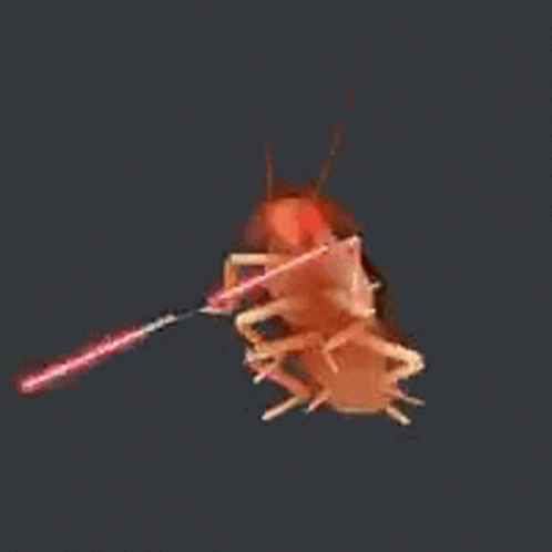 Roach Starwars GIF - Roach Starwars GIFs