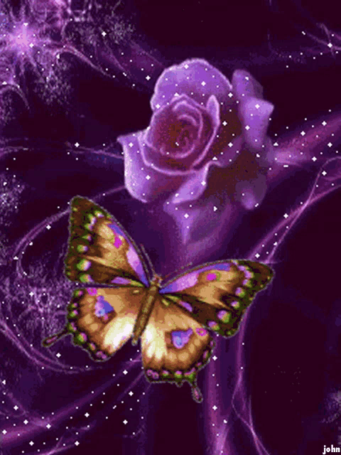 a butterfly is sitting next to a purple rose in a purple background