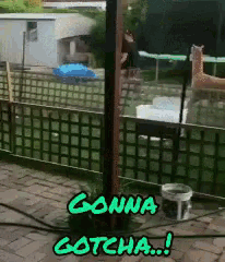 a picture of a fence with the words gonna gotcha written on it