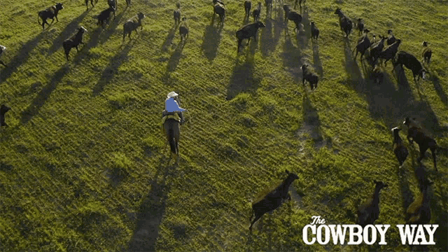 Herding The Cowboy Way GIF - Herding The Cowboy Way Cowboy GIFs
