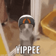 a cat wearing a helmet with the word yippee on it .