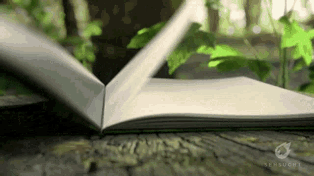 a book is open to a page that says " sensucht "