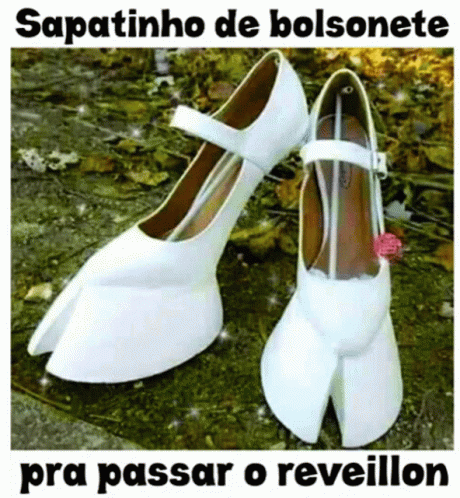 Asnobil Bolsonete GIF - Asnobil Bolsonete Bolsonaro GIFs