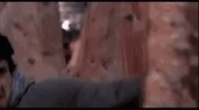 Beat Meat GIF - Beat Meat Fight GIFs