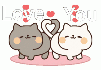 Love You Cat GIF - Love You Love Cat GIFs