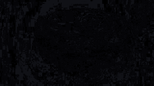 a black and white image of a novatic chaos logo