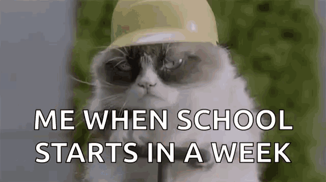 a grumpy cat wearing a hard hat says `` me when school starts in a week `` .