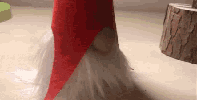 a close up of a stuffed gnome with a red hat and white beard .