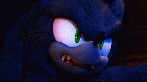 Sonic Sonic The Hedgehog GIF - Sonic Sonic The Hedgehog Werehog GIFs