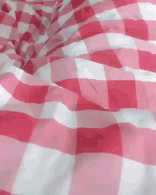 a close up of a pink and white checkered blanket .