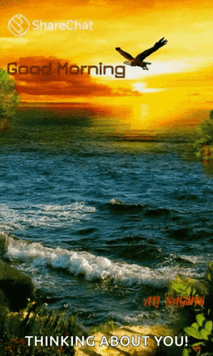 a picture of a sunset over a body of water with the words good morning thinking about you on the bottom