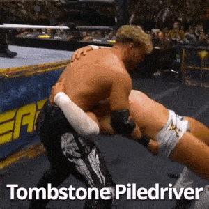 two men are wrestling in a wrestling ring with the words tombstone piledriver written on the bottom