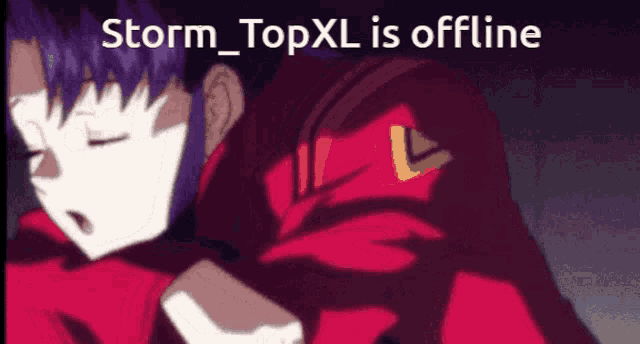 a purple haired anime character with the words storm_topxl is offline