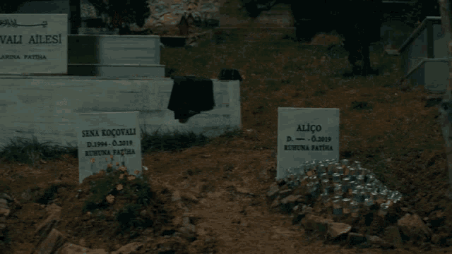 a grave in a cemetery has the name alico on the gravestone