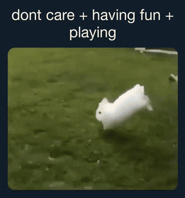 Bunny Dont Care Plus Having Fun GIF - Bunny Dont Care Plus Having Fun Playing GIFs