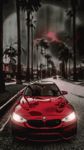 a red bmw is driving down a road with palm trees in the background