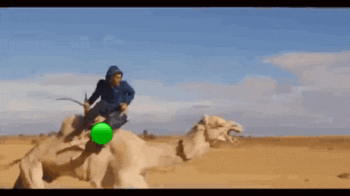 a man is riding on the back of a camel with a green balloon on the back .