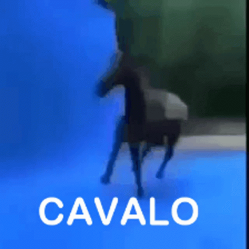 Meme Cavalo GIF - Meme Cavalo Horse GIFs