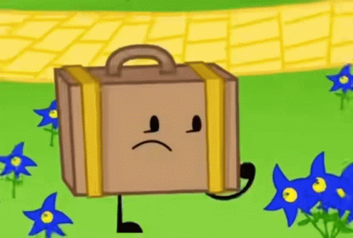 Suitcase GIF - Suitcase GIFs