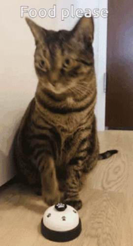 Me At Dinner Time GIF