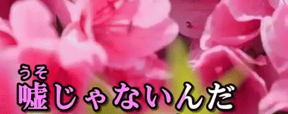 ウソ　嘘　本当　真実 GIF - Lie Truth Japanese GIFs