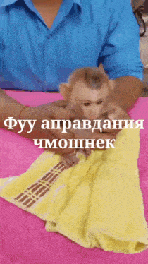 a man is holding a small monkey on a yellow towel in his hands