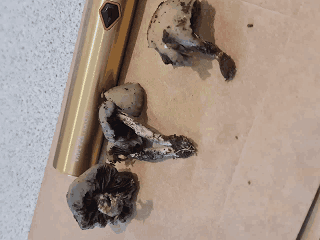 three mushrooms are next to a gold vape pen that says vape pen on it