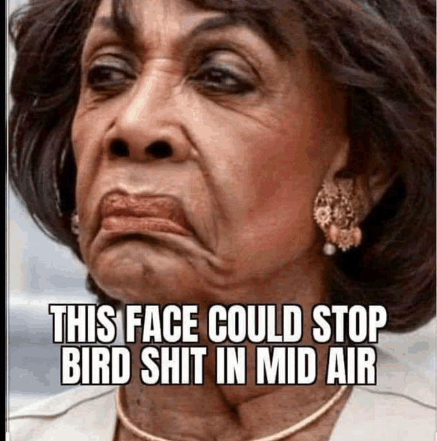 a woman making a face with a caption that says " this face could stop bird shit in mid air "