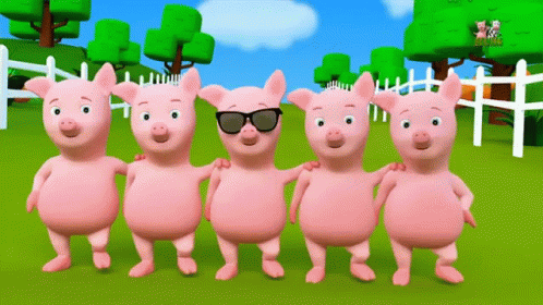 Dancing Pigs Choreographed GIF
