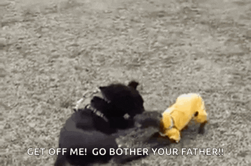 a black dog is playing with a yellow stuffed animal and says get off me go bother your father !