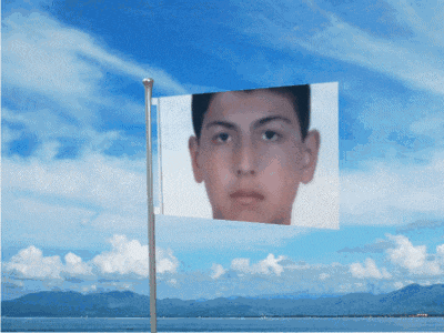 a flag with a picture of a boy 's face on it