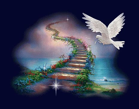 a white dove is flying over a staircase leading to the ocean
