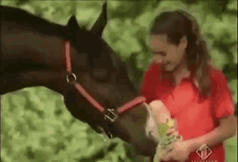 a woman in a red shirt is feeding a horse a flower .