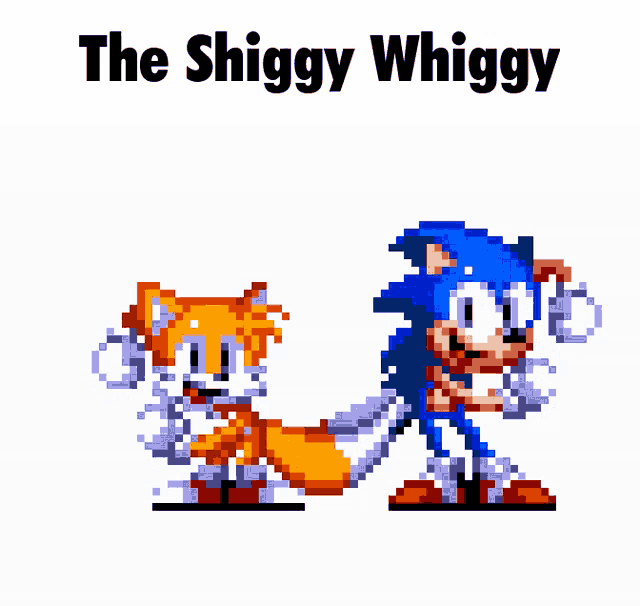 a pixel art of tails and sonic with the words the shiggy whiggy