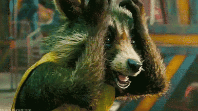 a raccoon is wearing a yellow vest and covering its eyes with its paws