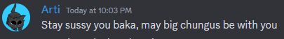 a screenshot of a discord conversation between arti and a cat