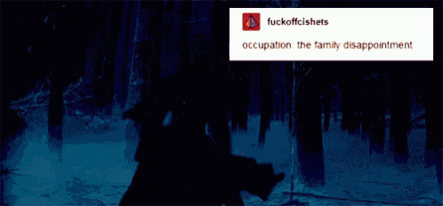 a picture of a man holding a sword in the snow with a caption that says occupation the family disappointment