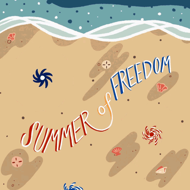 Summer Of Freedom Summer GIF - Summer Of Freedom Summer American Flag GIFs