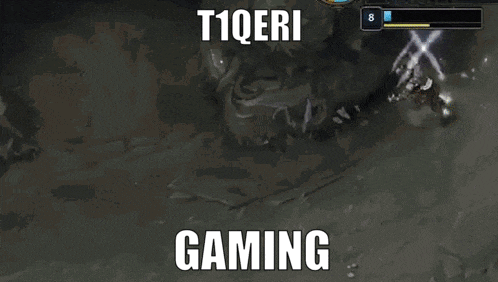 a screenshot of a video game with the words t1qeri gaming on the bottom