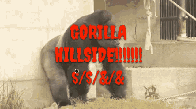 Hillside Gorilla GIF - Hillside Gorilla GIFs