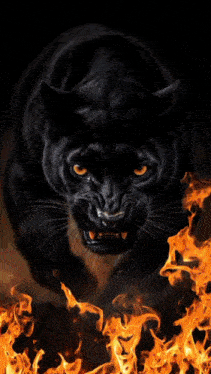 a black panther is holding a diamond in its mouth