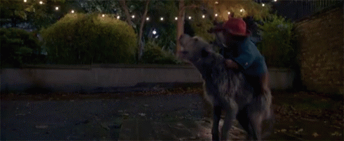 Riding A Dog Whinny GIF - Riding A Dog Whinny Howl GIFs