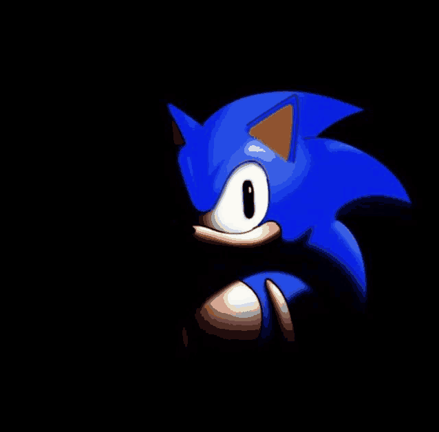 a close up of sonic the hedgehog 's face on a black background