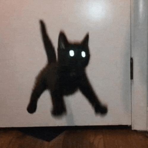 a black cat with glowing eyes is jumping through a doorway