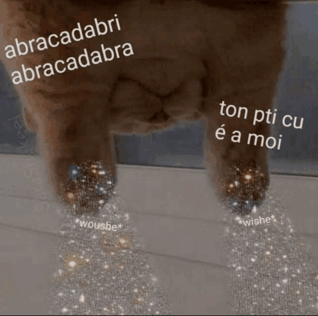 a cat 's paws are covered in sparkles and the words abracadabri abracadabra are written on them
