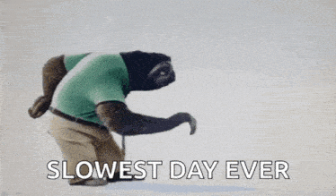 a sloth wearing a green shirt and khaki pants is holding a cane .