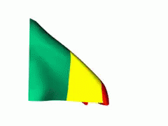 Mali Flag GIF - Mali GIFs