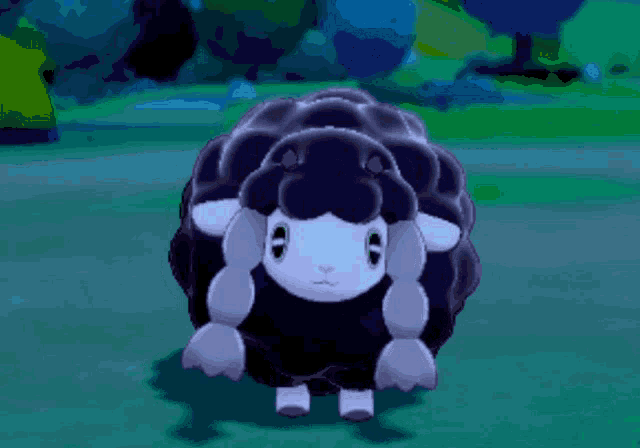 a black sheep with a white face is standing in the grass