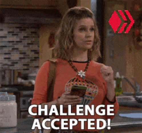 Challenge Accepted Kimmie GIF